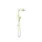 Bianca Brushed Gold Shower Set Round Head