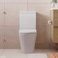 Chloe Back-to-Wall Toilet Suite (P-Trap)