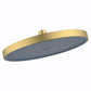 The Gabe Brushed Gold Bush Shower Head