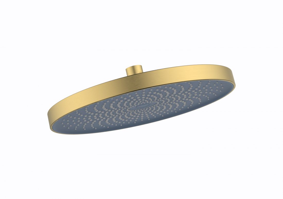 The Gabe Brushed Gold Bush Shower Head