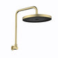 The Gabe Brushed Gold Gooseneck Shower