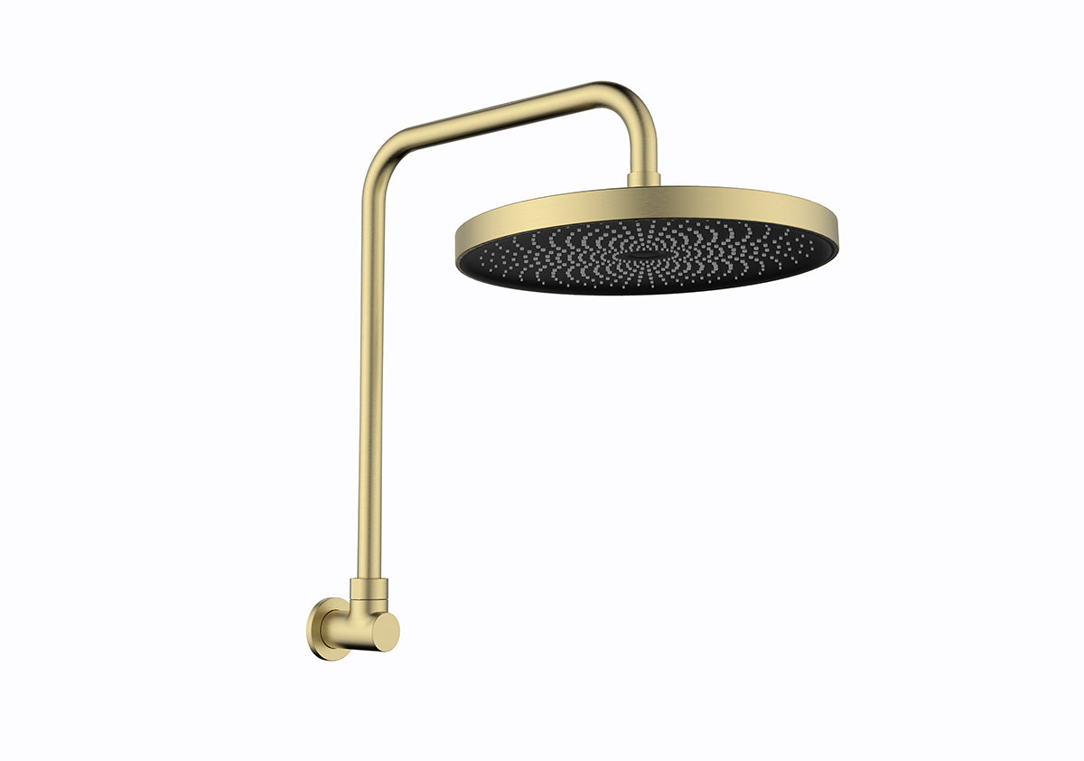 The Gabe Brushed Gold Gooseneck Shower