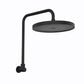 The Gabe Matte Black Gooseneck Shower