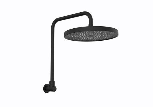 The Gabe Matte Black Gooseneck Shower