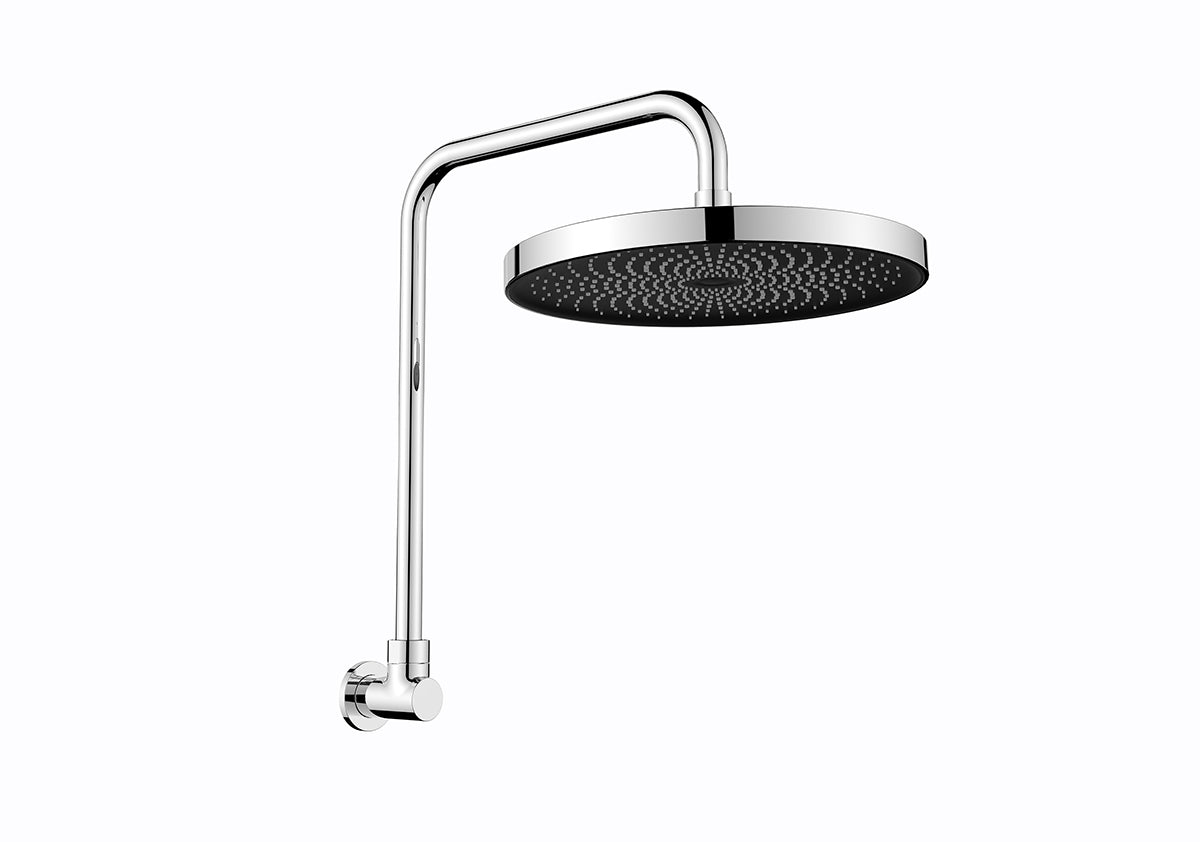 The Gabe Chrome Gooseneck Shower