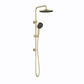 The Gabe Brushed Gold Twin Shower on Rail