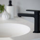 Ecco Matte Black Basin Mixer